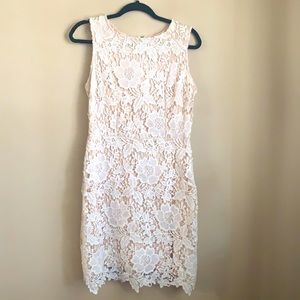 Ann Taylor Loft Lace shift dress